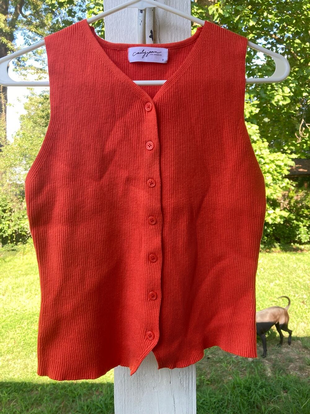 NWOT Carly Jean Los Angeles - Retro/Cottage/90s Mom Ribbed Knit Button Vest-S